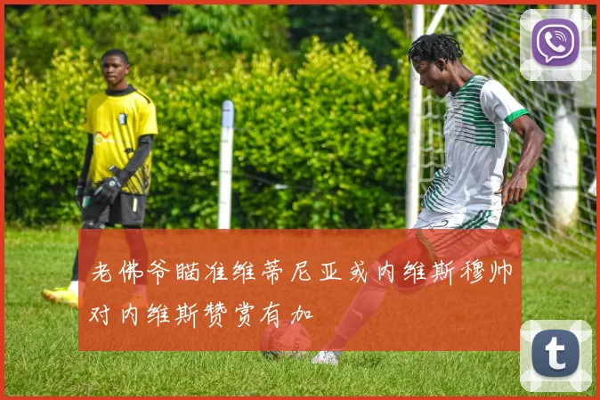 老佛爷瞄准维蒂尼亚或内维斯穆帅对内维斯赞赏有加