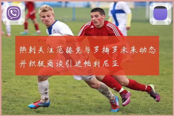 热刺关注范赫克与罗梅罗未来动态并积极商谈引进帕利尼亚
